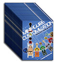 Brick O' Minifig Books
